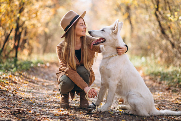 Creating a Haven for Your Dog's Heart