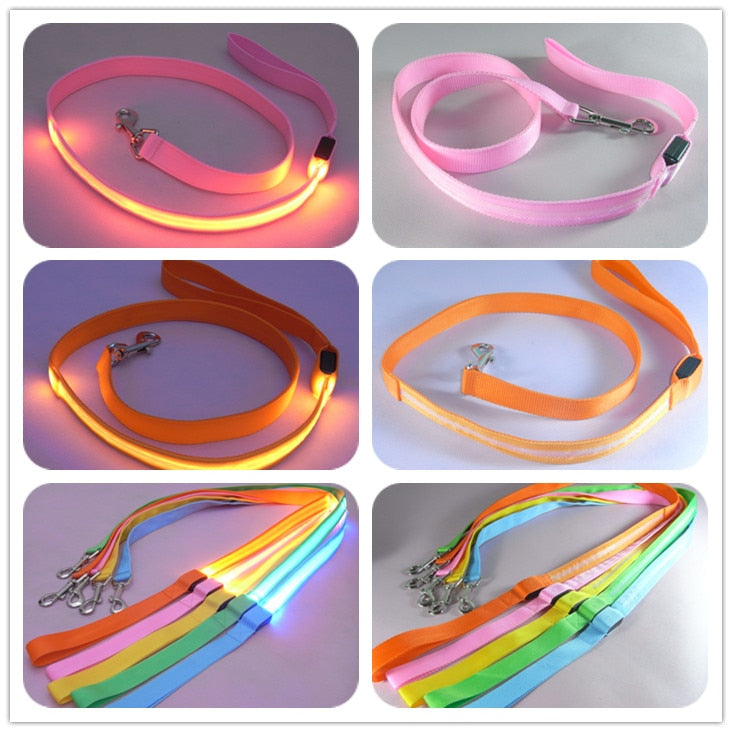 LED Illuminated Traction Nylon Pet Leash