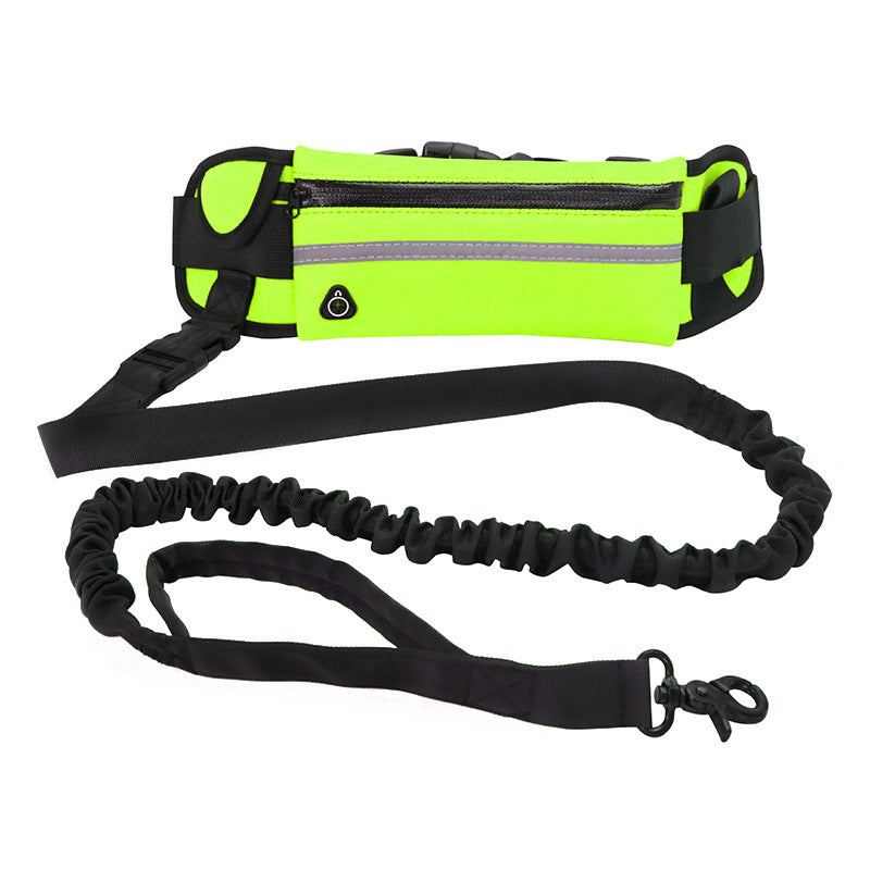 Hands Free Walking And Training Belt With Shock Absorbing Bungee Leash