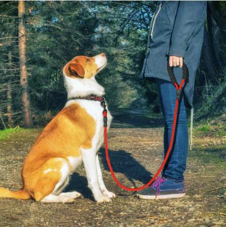 Reflective Nylon Rope Walking Training Pet Leash