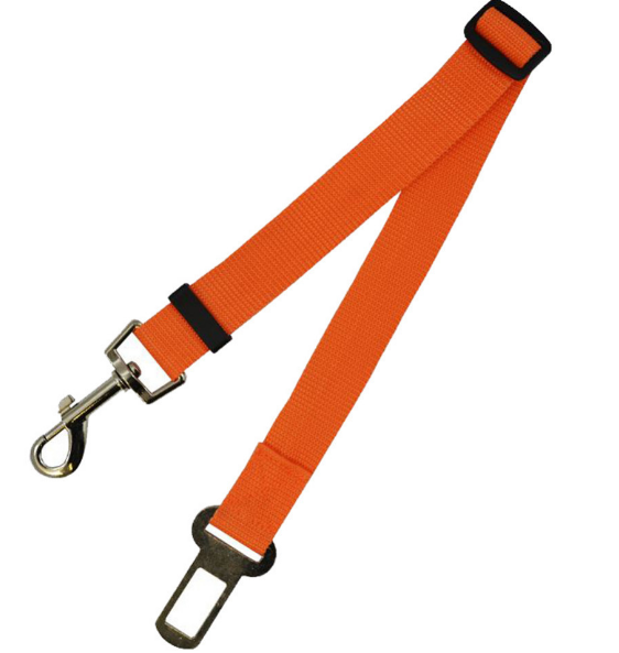 Fixed Strap Polyester Dog Strap Leash